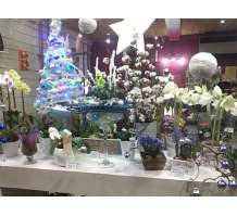 notre vitrine de noël